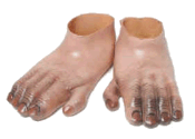 Monkey Feet Cartoon
