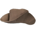 Cowboy Hat