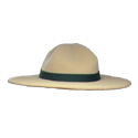 Ranger Hat