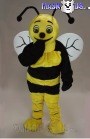 Honey Bee