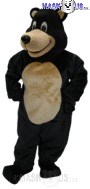 Bongo Bear