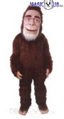Sasquatch