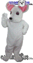 Albino Mouse