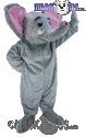 Asian Elephant - T0183