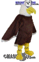 Bald Eagle - T0137