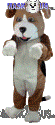 Beagle - T0084