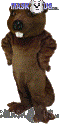 Beaver - T0097