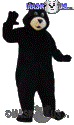 Black Bear - T0047