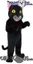 Black Cat - T0037