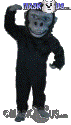 Black Gorilla - T0177