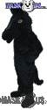 Black Stallion - T0168
