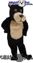 Black & Tan Bear - T0048