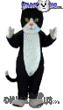 Black & White Cat - T0039