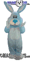 Blue Cottontail