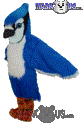 Blue Jay - T0146