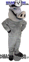 Boar - T0186