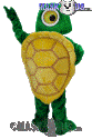 Box Turtle