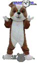 British Bulldog - T0083