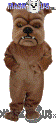 Brown Bulldog - T0073
