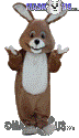 Brown Bunny