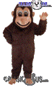 Brown Monkey - T0174