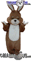 Brown Rabbit