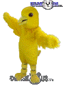 Canary - T0148