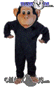 Chimp - T0178