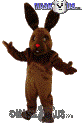 Chocolate Bunny