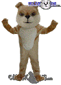 Cream Bulldog - T0075