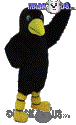 Crow - T0140
