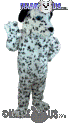 Dalmatian - T0081