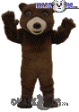 Friendly Grizzly - T0044