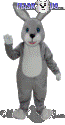 Grey Bunny