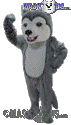 Grey Husky - T0079