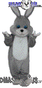 Grey Rabbit