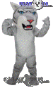Grey Wildcat - T0019