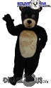 Jr. Black Bear - T0049