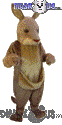 Kangaroo - T0110