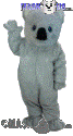 Koala - T0058
