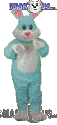 Light Blue Hopsy - T0255