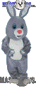 Light Grey Rabbit