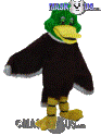 Mallard - T0134