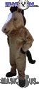 Musang - T0166