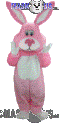 Pink Cottontail - T0256