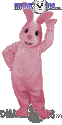 Pinky - T0221