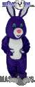 Purple Rabbit - T0248