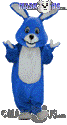 Royal Blue Bunny - T0225