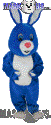 Ryal Blue Rabbit - T0250