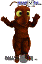 Rusty Ant - T0202